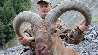 Dagestan Tur hunting in Azerbaijan (Seasons France)