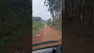 Roads in Kimilili Kenya Africa