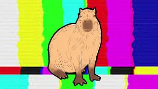 Funny Capybara Compilation 2023