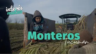 Monteros (Tucumán) - Temporada 7 - Interés Mutuo