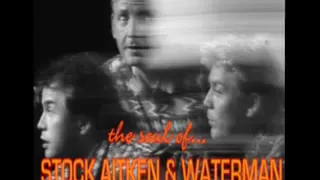 the soul of...STOCK, AITKEN & WATERMAN - Various Artists