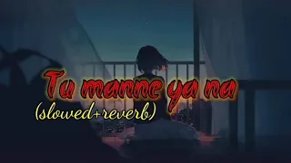 New popular song 2023 /Tu manne ya na (slowed&reverb)#popular #camcorder #lofi