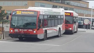 Buses In Ottawa, ON (Volume 5)