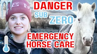 ESSENTIAL WINTER HORSE CARE TIPS