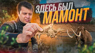 ОХОТА за МАМОНТАМИ под водой | Экспедиция по следам древних млекопитающих