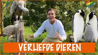 Dieren die homoseksueel zijn?! | DierenpraatTV