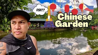 A Hidden Gem Chinese Garden Luneta Park Manila Philippines 4K 🇵🇭