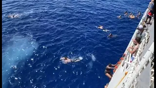 Shark crashes Coast Guard crew’s swim call in Oceania