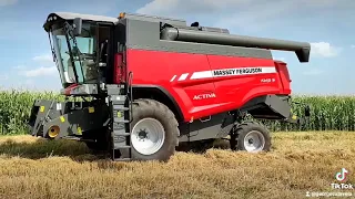 Massey Ferguson 7345 S ACTIVA