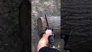 Home Gym Built From Fallen Trees and 4x4s