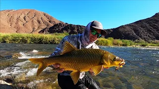 Catching Yellow FISH IN THE ORANGE RIVER! FISHING FOR SMALL MOUTH YELLOW FISH! ORANGE RIVER REJECTS.