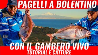 PESCARE a Bolentino PAGELLI ENORMI  Tutorial Adami