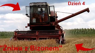 ''Żniwa 2021 z bizonem''. 🔥[Dzień 4.cz1]🔥Kosimy Owies🔥Ryk Bizona🔥Dźwięk silnika🔥Kamerka na głowie?!🔥