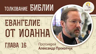 Евангелие от Иоанна. Глава 16. Протоиерей Александр Прокопчук