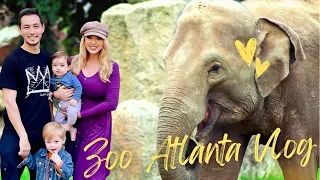 FAMILY FRIENDLY ZOO ATLANTA TOUR WITH KIDS * 1 OF THE BEST ZOOS IN AMERICA * PLUS HELPFUL TIPS!