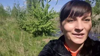 Готуюсь до вербної неділі🌿 Прогулянка до води за вербою. Цілий день працювала вдома. Завтра свято 🌿