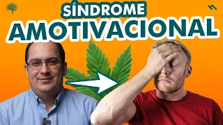 SINDROME AMOTIVACIONAL por el consumo de Cannabis  - Juan Camilo Psicologo