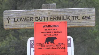 Grizzly bear euthanized near West Yellowstone, linked to multiple incidents