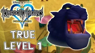 KH1FM - "True" Level 1 - Tiger Head