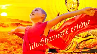 Шафрановое сердце (Россия, Индия, Тибет 2018) художественный фильм-медитация в лучшем качестве