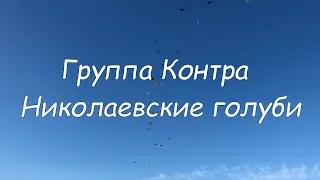 Контра - Николаевские голуби