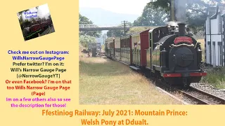 Ffestiniog Railway: July 2021: Mountain Prince - Welsh Pony at Dduallt.