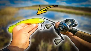 PIKE FISHING: Trying Out a New Softbait In a Small River (Does It Catch Pike!?) | Team Galant