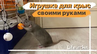 КАК СДЕЛАТЬ ИГРУШКУ ДЛЯ КРЫС СВОИМИ РУКАМИ 🙌🏻🐀