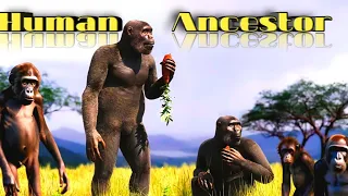 Evolution from ape to man. The ENTIRE History of Human evolution | Ancient to Modern ( Documentary)