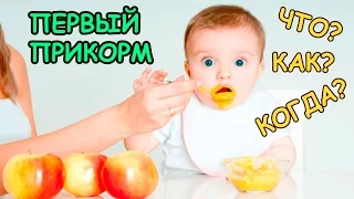 ПЕРВЫЙ ПРИКОРМ РЕБЁНКА / КОГДА? КАК? С ЧЕГО НАЧАТЬ?