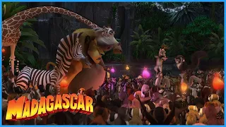 DreamWorks Madagascar | Meet King Julien | Madagascar Movie Clip