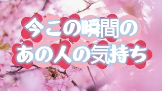 【恋愛】あなた様のこと大好きやんけ🧡全選択肢ロマンスがありあま～る🥹今この瞬間のあの人の気持ち❤️💜2人のこれから✨️