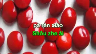 Hồng đậu sinh nam quốc karaoke beat红豆生南国伴奏