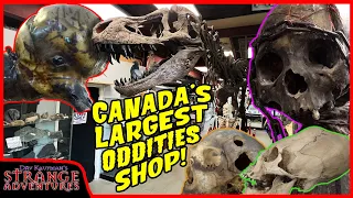 TOURING THE LARGEST ODDITIES SHOP IN CANADA! (Complete SHOP and MUSEUM tour!)