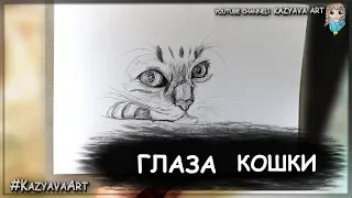 Как нарисовать глаза кошки карандашом