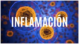 INFLAMACIÓN- Qué es, porqué sucede, qué moléculas están implicadas y cuánto dura.