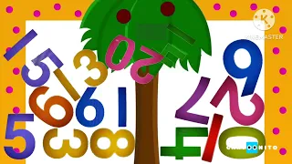 Cartoonito | Zero Ordering 20 Numbers on the Coconut Tree | Kids Learning Numbers | Weston Woods