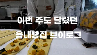 [읍내 빵집] 극현실주의 읍내에서 비건빵 파는 30대 자영업자 vlog