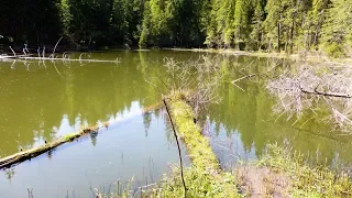 Lacul BOLĂTĂU Lake (Sadova, Bucovina, Romania)