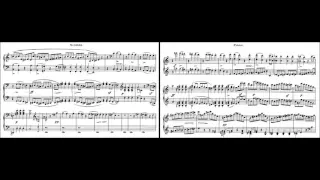 Franz Schubert - Allegro in A minor, D 947 Lebensstürme
