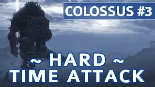 Shadow of the Colossus (PS4) - Colossus #3 Gaius Boss Fight - Hard Time Attack