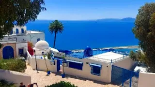 DISCOVER TUNISIA  - Sidi Bou Said  the blue and white Tunisian town, Tunisie, Café des Délices,