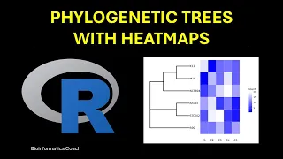 Phylogenetic Trees with Heatmap | R Tutorial for Bioinformatics Beginners Edition
