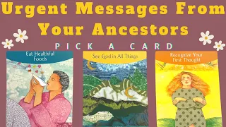 ☁️Pick A Card☁️ Urgent Messages From Your Ancestors Right Now! Timeless Tarot