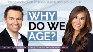 The Genes That Control Your Longevity | Dr. David Sinclair & Serena Poon | Optimize Longevity