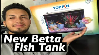 Upgrade betta fish tank (exciting)