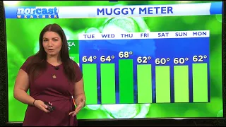 Tuesday Afternoon Forecast May 21st, 2024