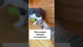 Когда папа впервые увидел своего новорожденного малыша 😻 #новорожденный #роды #папа