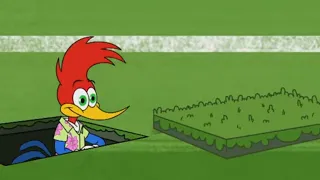 Fútbol de Vacaciones | El Pájaro Loco | Video para niños | WildBrain Niños