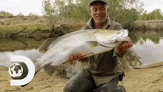 Jeremy Wade Finds Rare Fish That Were Affected By The Cane Toad Invasion | Jeremy Wade's Dark Waters